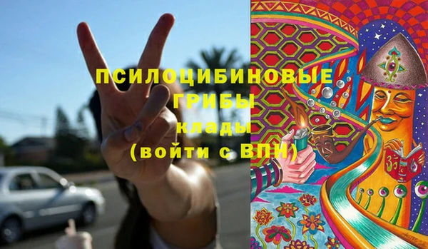прущий лед Арсеньев