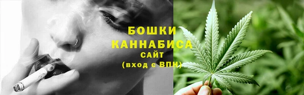 прущий лед Арсеньев