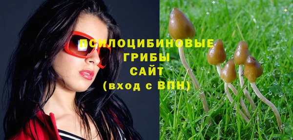 крисы Алексин