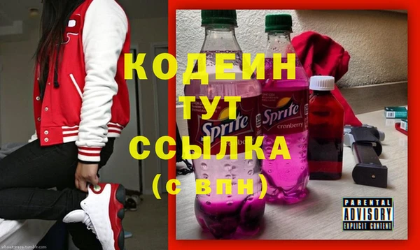 прущий лед Арсеньев