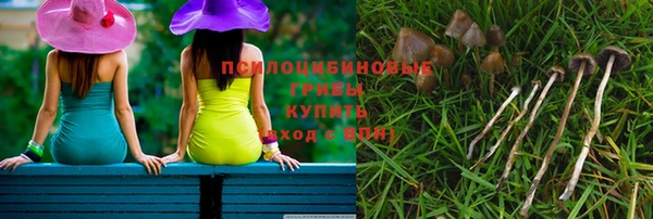 прущая мука Армянск