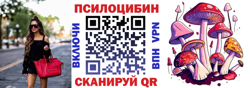 Галлюциногенные грибы Magic Shrooms  Купить закладки  Томилино 